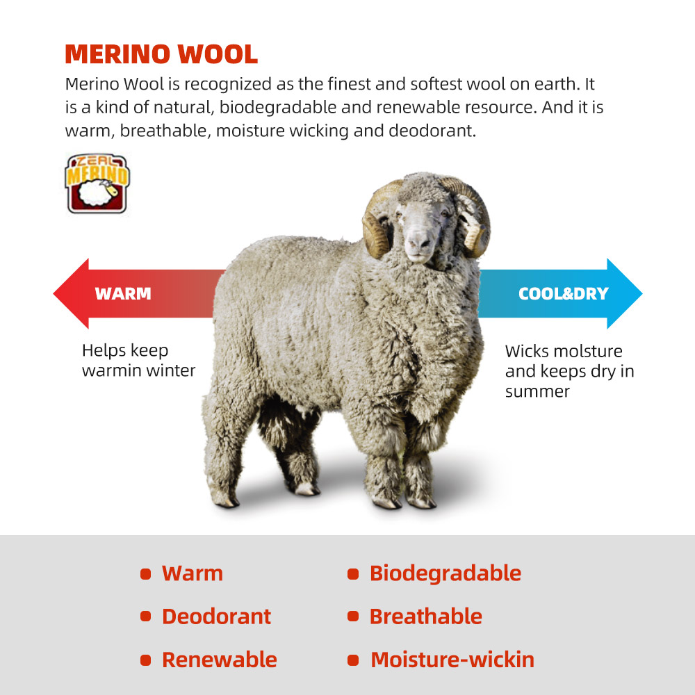 ZEALWOOD Merino Wool Running S - Wool Hiking Sock reseña y precio