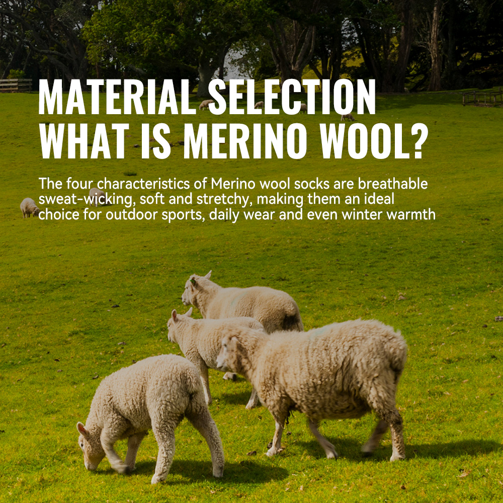 WRELS 1/2/3 Merino Wool Socks  - Thermal Sock Winter reseña y precio
